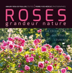 Roses grandeur nature - couverture