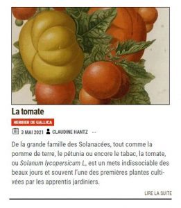 Article TOmate BnF